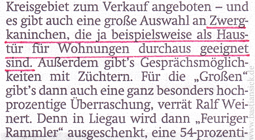 Zwergkaninchen, die als Haustür für Wohnungen durchaus geeignet sind_WZ (Sächsische Zeitung) von Viola Kuhne 13.05.2014_8pHCgVoC_f.jpg